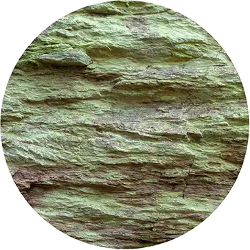 Les tendances couleur : vert foret